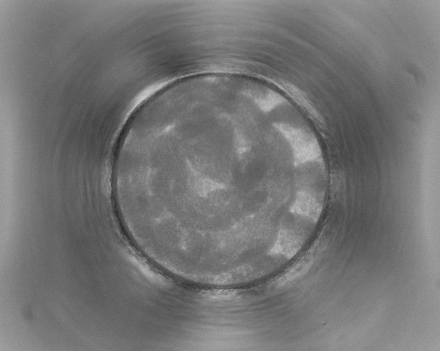 X0000114110846200911161117