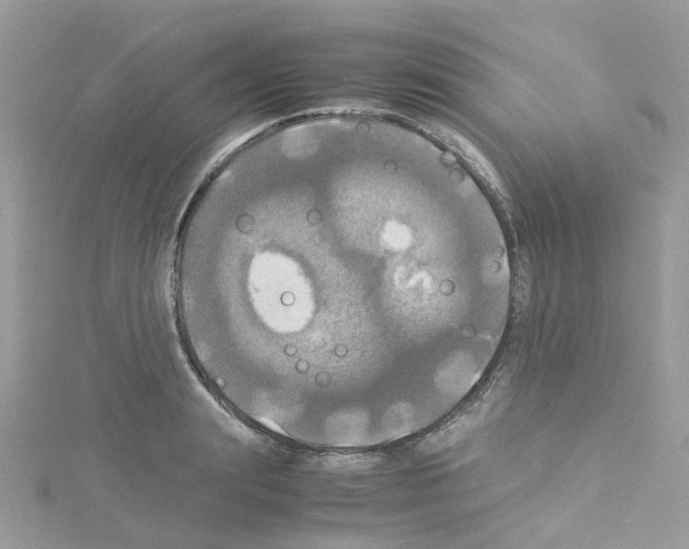 X0000114110847200911161117