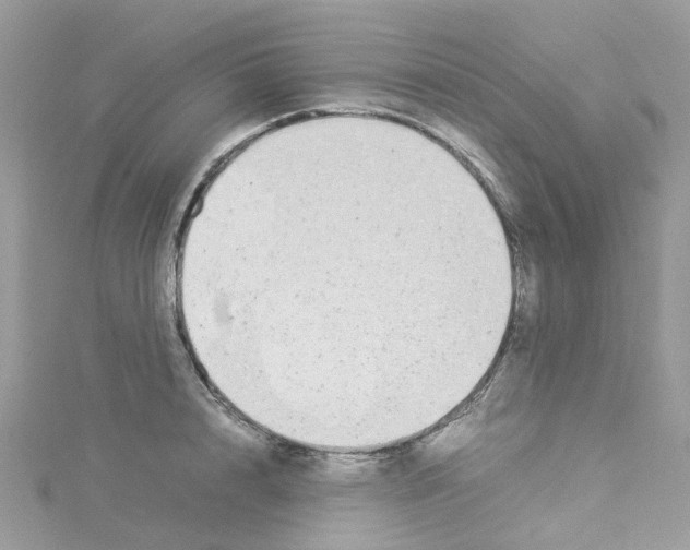 X0000114110848200911161117