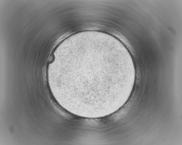 X0000114110850200911161117