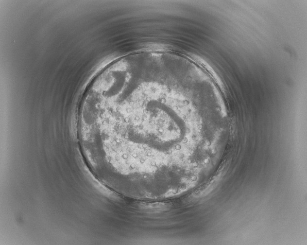 X0000114110851200911161117