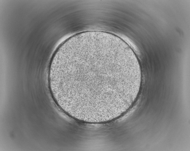 X0000114110854200911161117