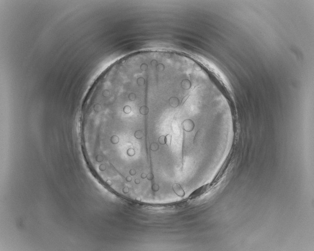 X0000114110855200911161117