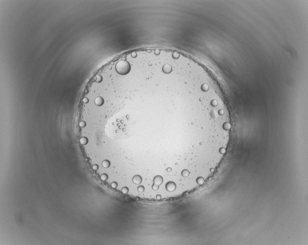 X0000114110856200911161117