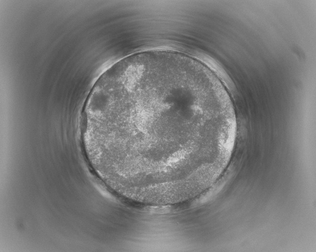 X0000114110858200911161117