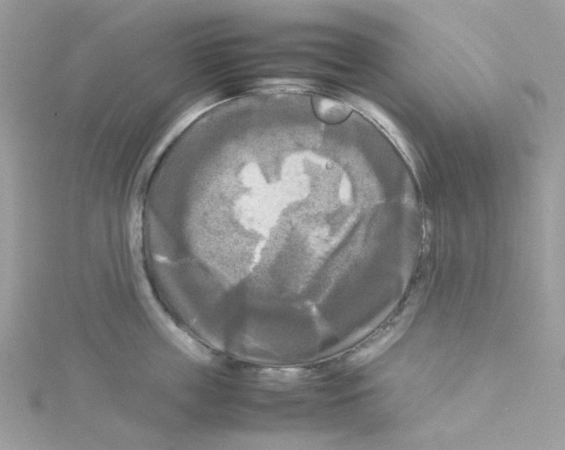 X0000114110859200911161117