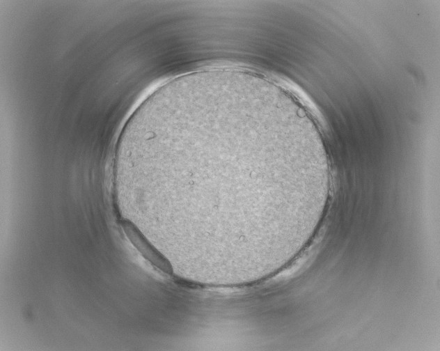 X0000114110860200911161117