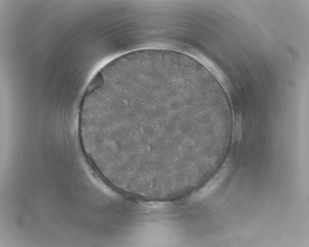 X0000114110862200911161117