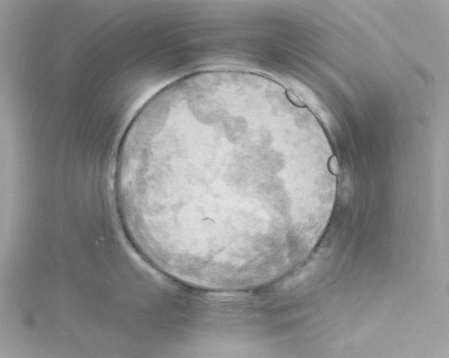 X0000114110863200911161117