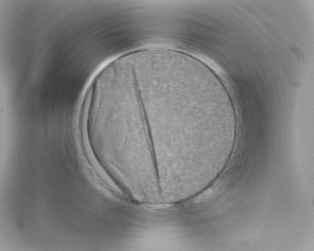 X0000114110864200911161117