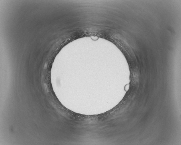 X0000114110865200911161117