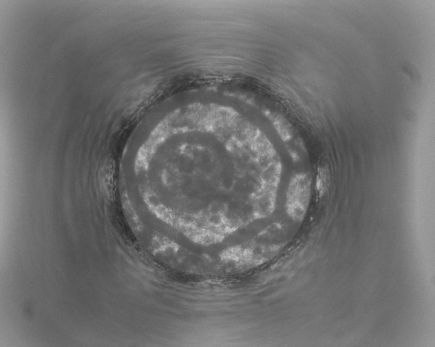 X0000114110867200911161117