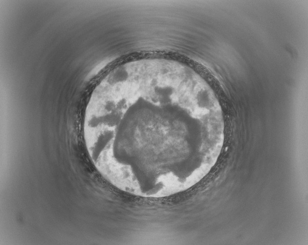 X0000114110871200911161117