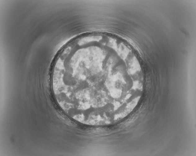 X0000114110879200911161116