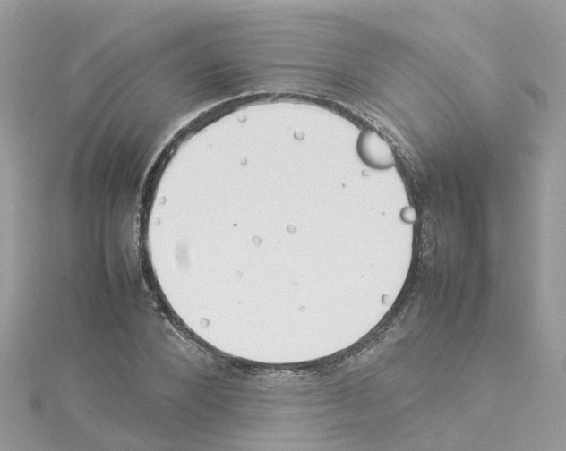 X0000114110880200911161116