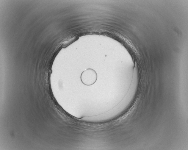 X0000114110881200911161116