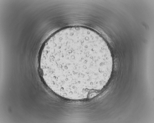 X0000114110885200911161116