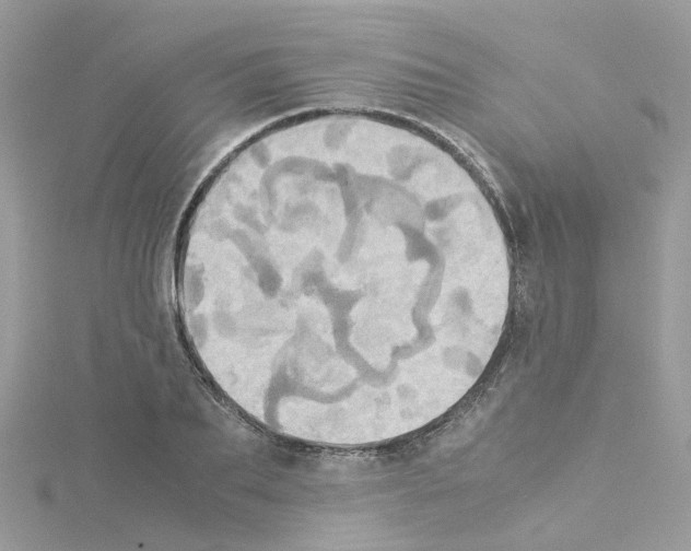 X0000114110887200911161116