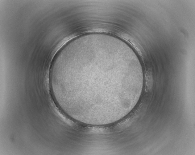 X0000114110890200911161116