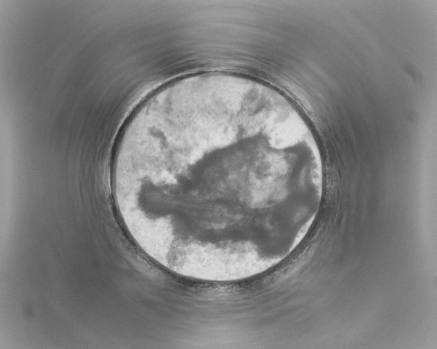 X0000114110891200911161116