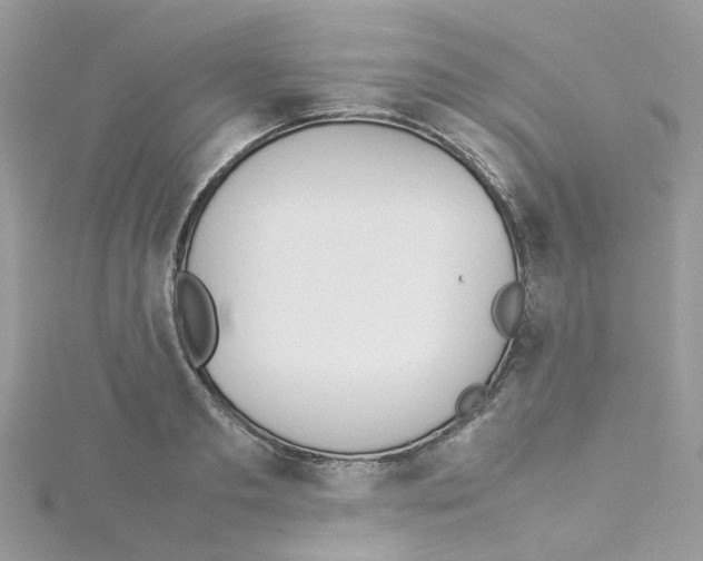 X0000114110893200911161116