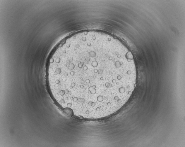 X0000114110894200911161116