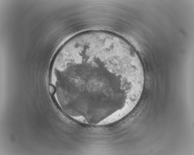 X0000114110895200911161116