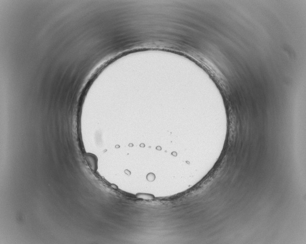 X0000114110896200911161116