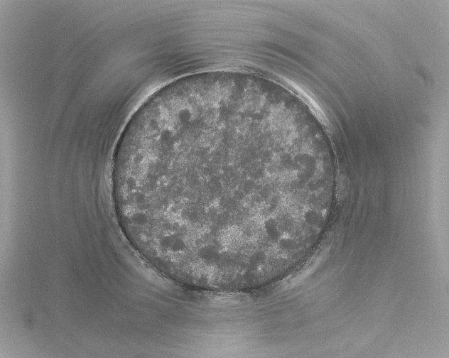 X0000114110899200911161116