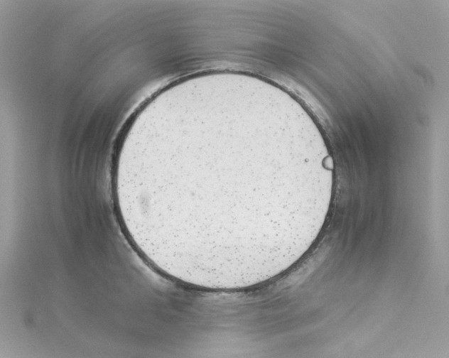 X0000114110902200911161116