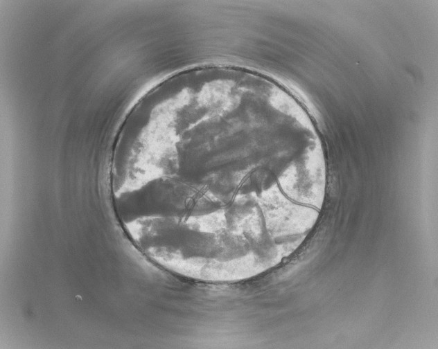 X0000114110903200911161116