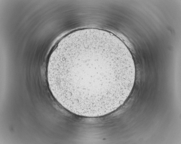 X0000114110904200911161116