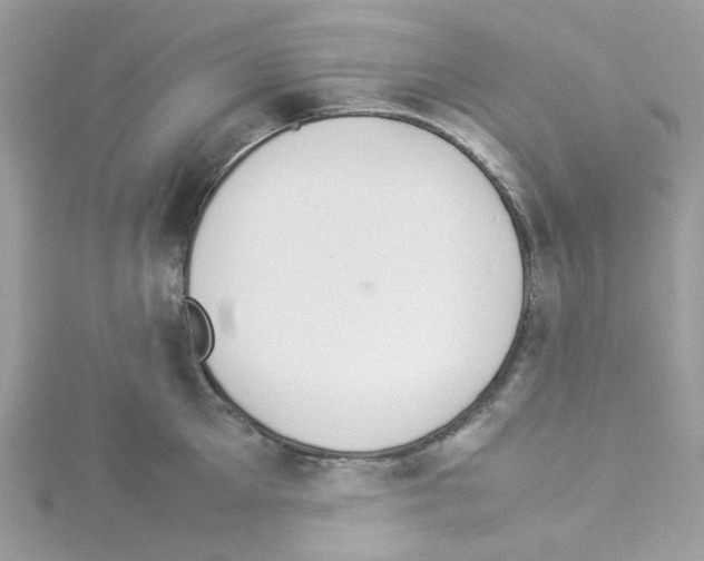 X0000114110905200911161116