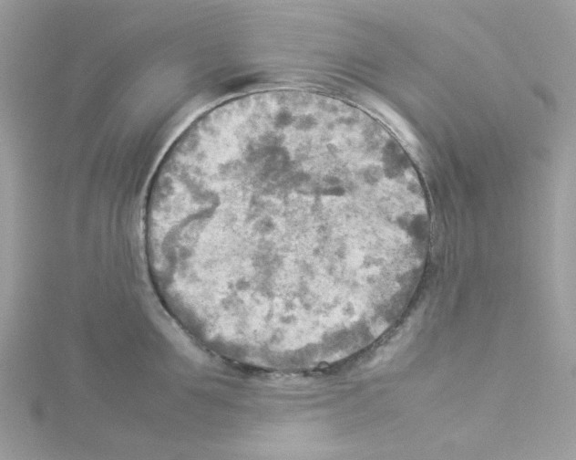 X0000114110907200911161116