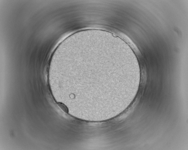 X0000114110908200911161116