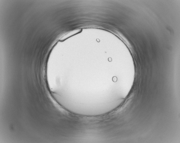 X0000114110909200911161116