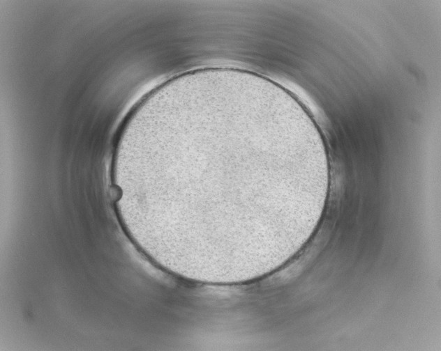 X0000114110910200911161116