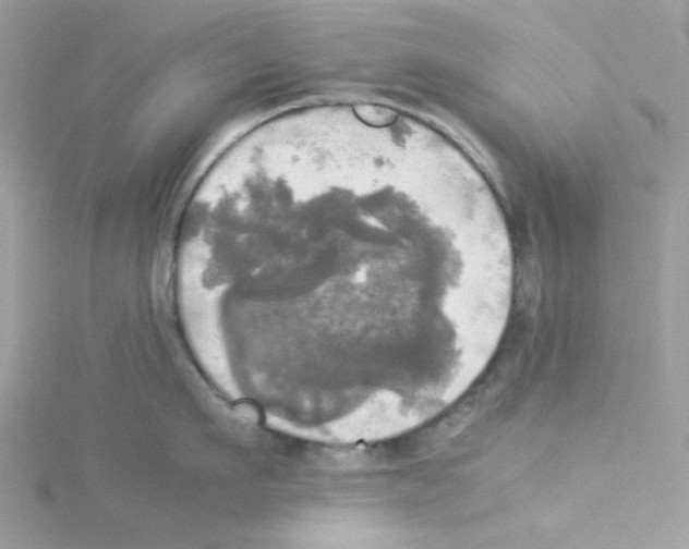 X0000114110911200911161116