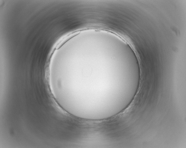 X0000114110912200911161116