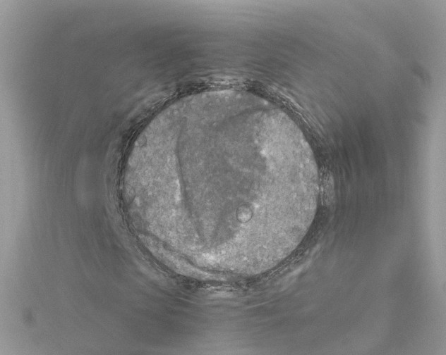 X0000114110913200911161115