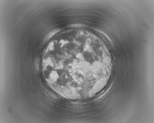 X0000114110921200911161115