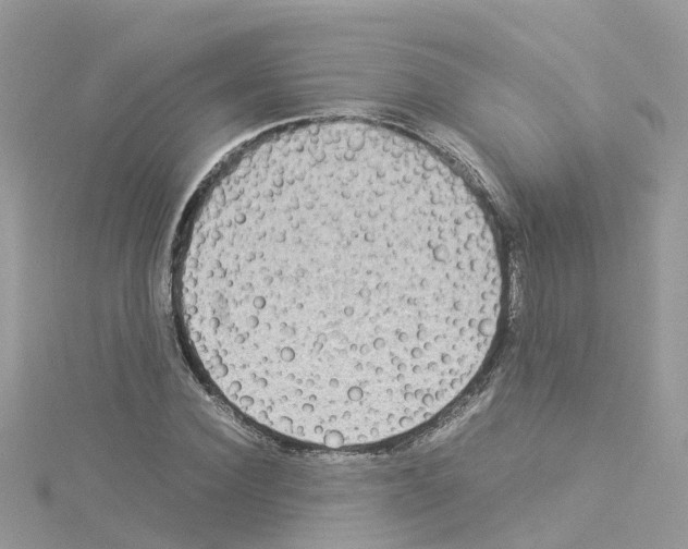 X0000114110924200911161116