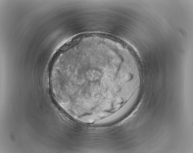 X0000114110925200911161116