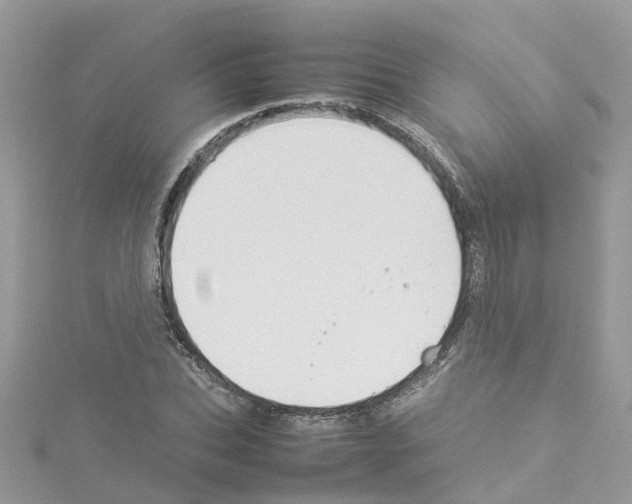 X0000114110927200911161116