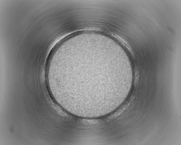 X0000114110928200911161116