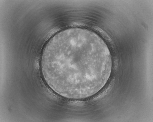 X0000114110929200911161116