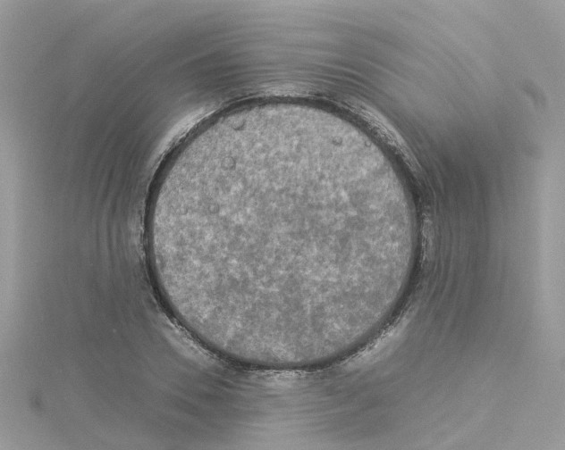 X0000114110930200911161116