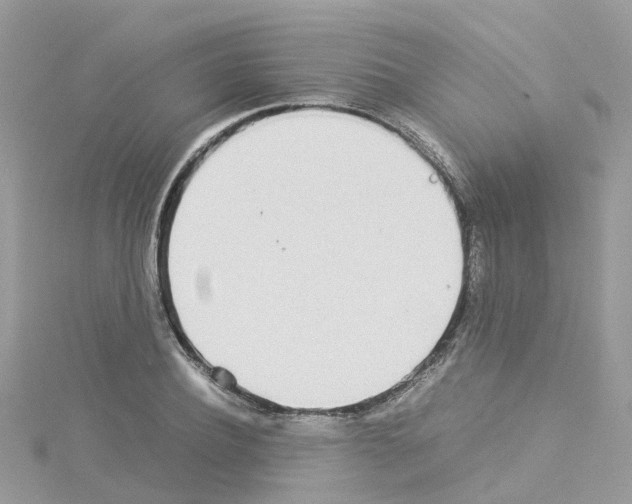 X0000114110932200911161116