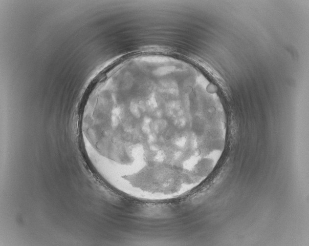 X0000114110933200911161116