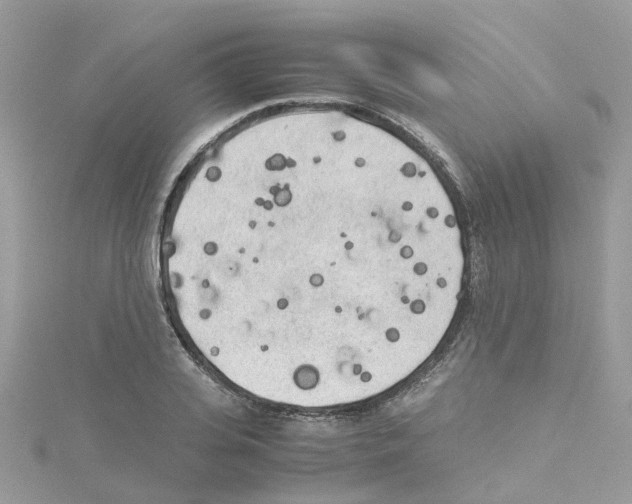 X0000114110935200911161116